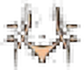 Tratamento corporal